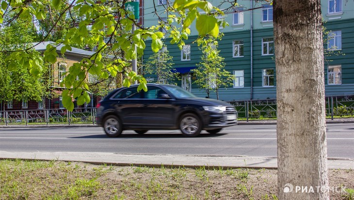 Подрядчики восстановят газоны и добавят зелени на пр. Ленина в Томске