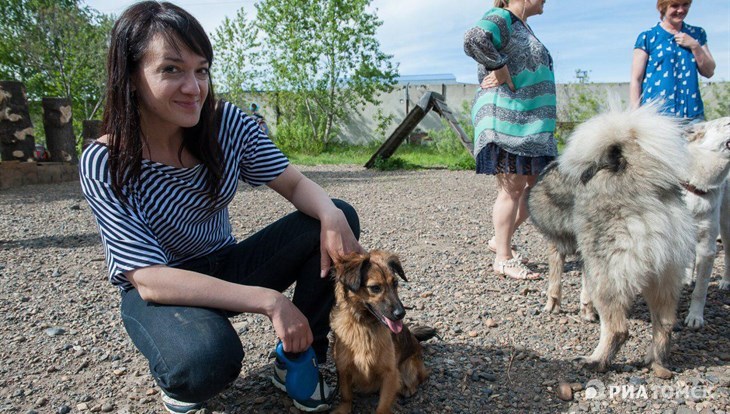 Возьми верного друга: истории томичей, приютивших бездомных собак