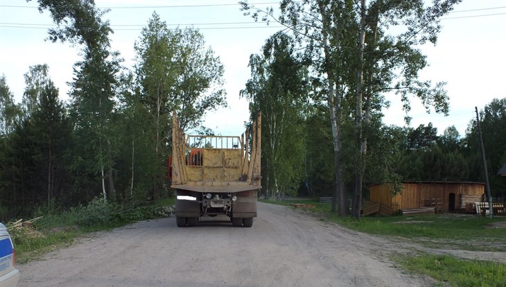 Пьяный всадник на лошади врезался в КамАЗ в томском поселке