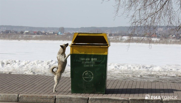 Томские власти спрогнозировали тарифы на вывоз мусора до 2030г