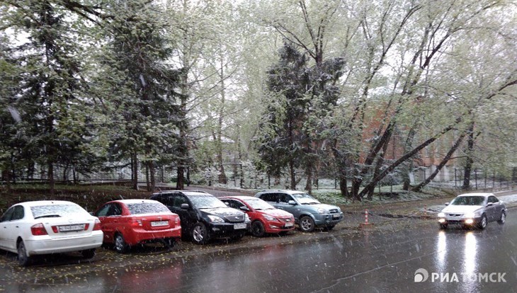 Суббота в Томске будет холодной и со снегом