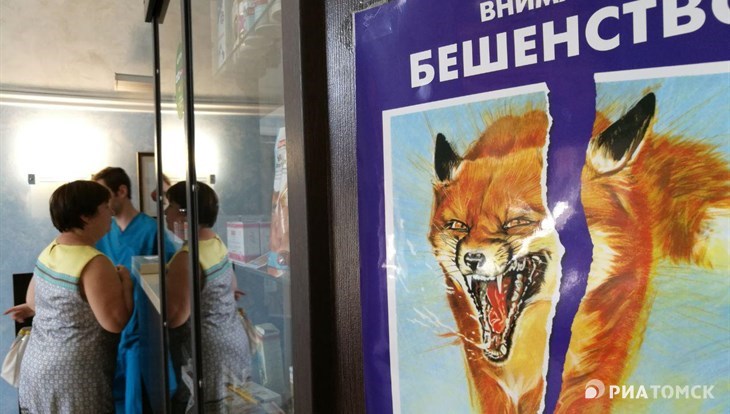 Карантин по бешенству введен в Томской области впервые за 5 лет