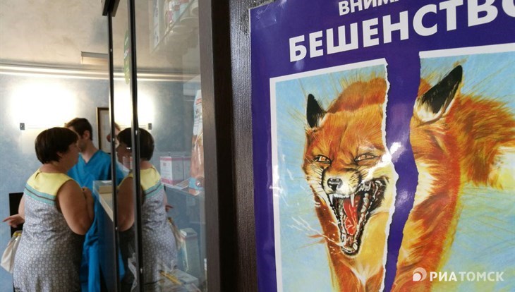 Санврачи: чаще всего в 2023г томичей кусают собаки, дикие мыши и крысы
