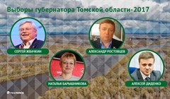 Кандидаты в губернаторы Томской области: семья, образование, доходы