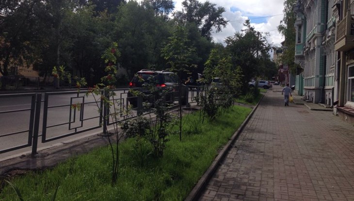 Груши и рябины высажены в одном из кварталов Томска ко Дню томича