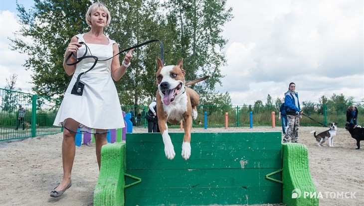 Власти Томска не будут обустраивать новые площадки для собак в 2023г