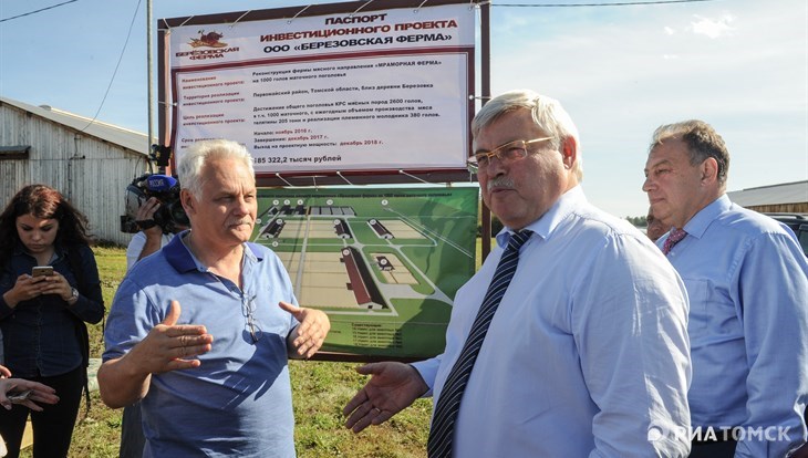 Реконструкция томской Березовской фермы завершится к концу 2017г