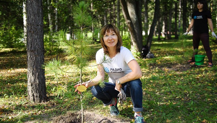 Кедровая аллея Радио Сибирь появилась в Лагерном саду Томска