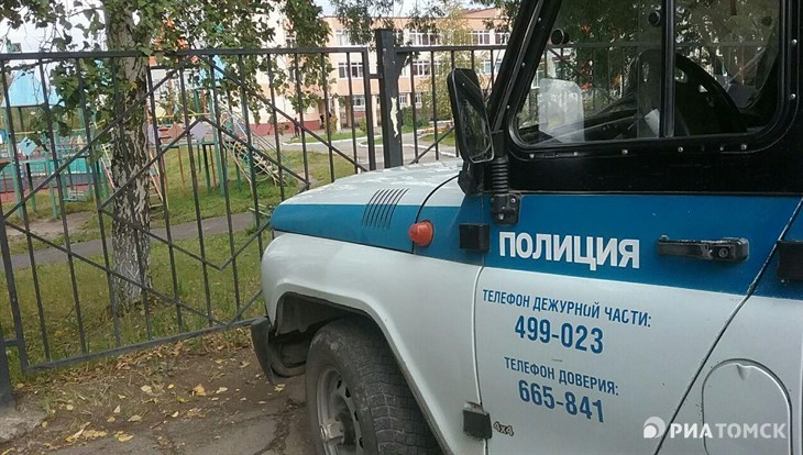 Полиция выясняет, как два кота выпали с 8 этажа в Томске