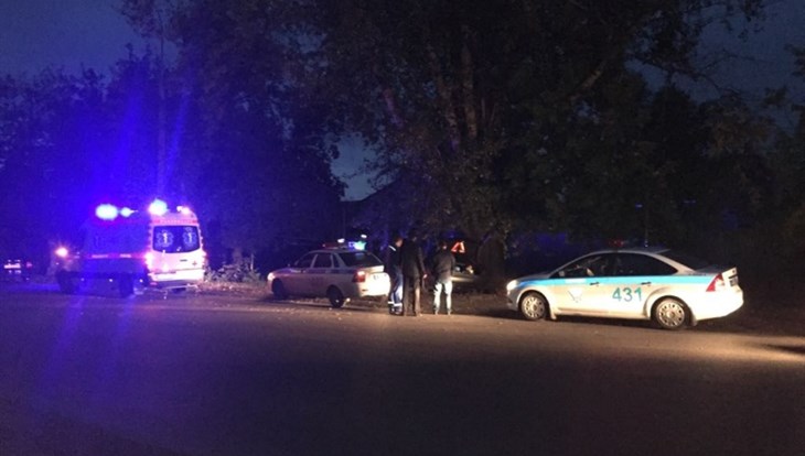 Автомобиль Audi врезался в дерево в Томске, погиб пассажир