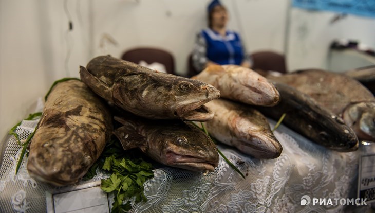 Томские власти: вылов речной рыбы за 3 года увеличим в 2,5 раза
