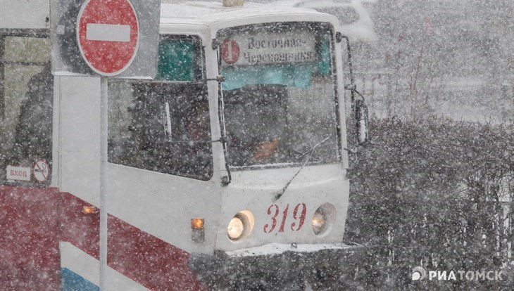 Сильный ветер и мокрый снег ожидаются в Томске в субботу