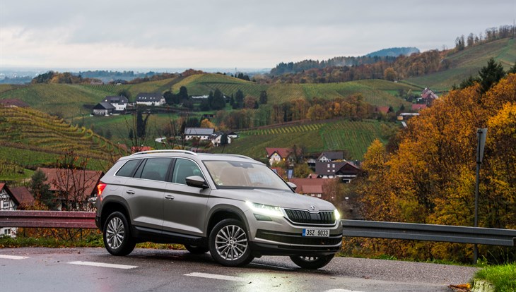 На Skoda Kodiaq по сказочному Шварцвальду: томичка проводит тест-драйв