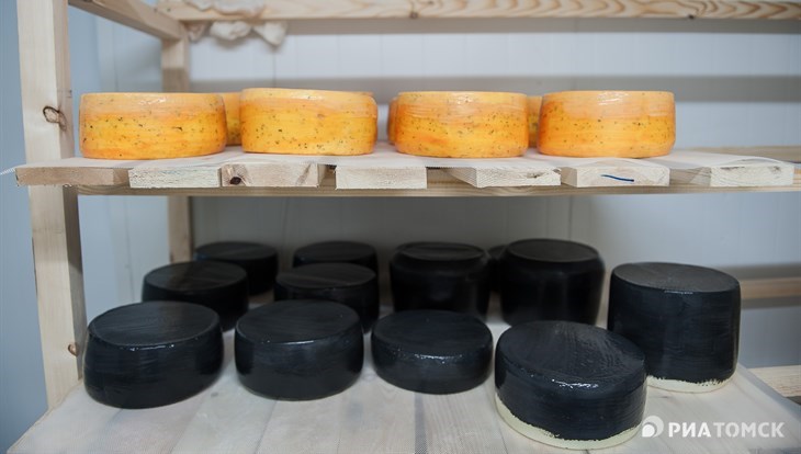 Сыр жив: как в Томске делают оригинальные итальянские сорта