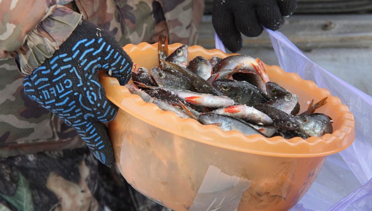Рыбак из томского села за 5 часов поймал на мормышку почти 7кг рыбы