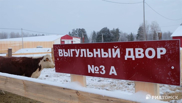 Мраморная ферма на 2,6 тыс голов открылась в Первомайском районе