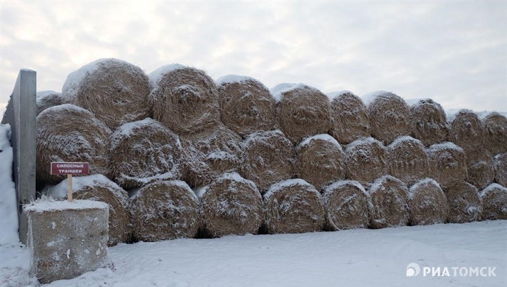 Томские фермеры получат 30 млн руб в 2019 г на кооперацию и стартапы