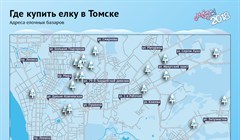 Где купить новогоднее дерево: карта елочных базаров Томска