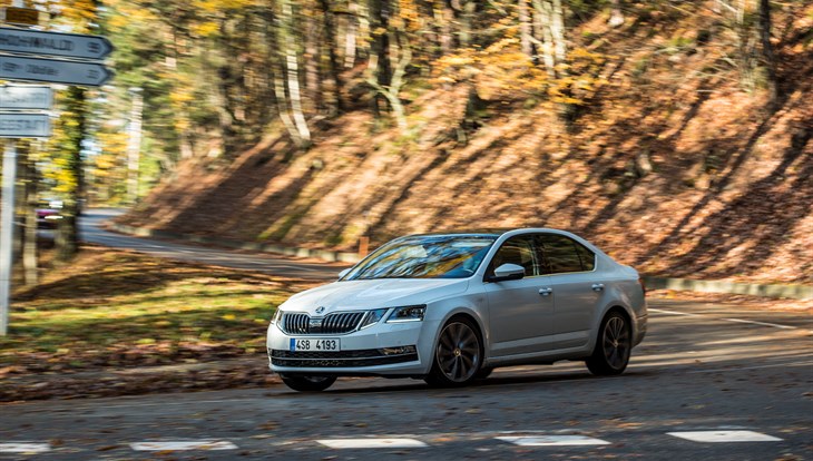 Путешествуем на Skoda Octavia: винный путь Эльзаса и капустный Кольмар