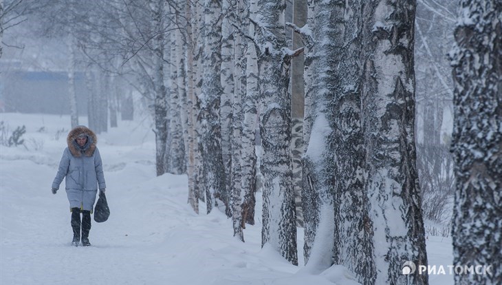 Похолодание до минус 18 градусов ожидается в Томске в понедельник