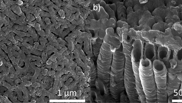 TPU scientists expanded a line of nanocoverings for bone implants
