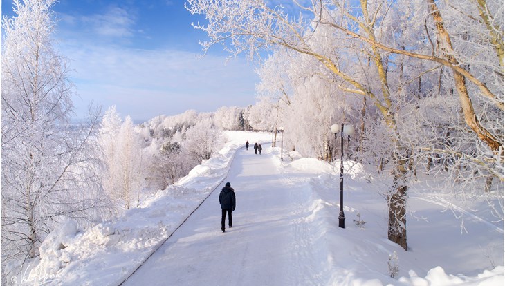 Прохладная погода без осадков ожидает жителей Томска в понедельник