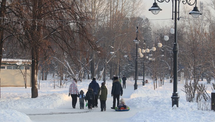 Небольшой снег и порывистый ветер ожидаются в Томске в субботу