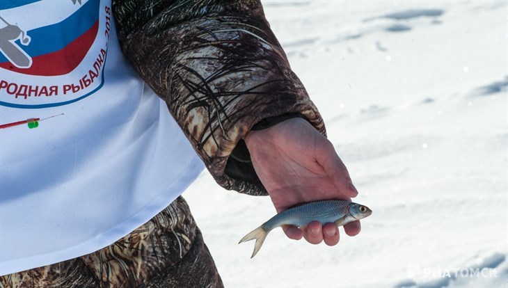 Житель Томска стал главным народным рыбаком, поймав более 2,5кг рыбы