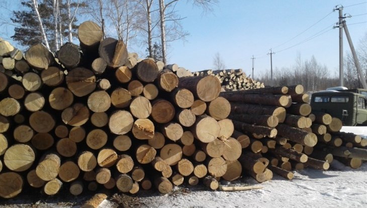 ФСБ пресекла канал контрабанды томских лесоматериалов в Азербайджан
