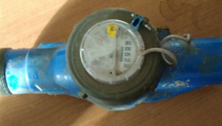 Полиция поймала томича, позарившегося на счетчики воды в подвалах