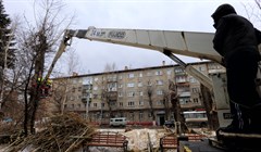 Эксперт о том, стоило ли сносить тополя на проспекте Кирова в Томске