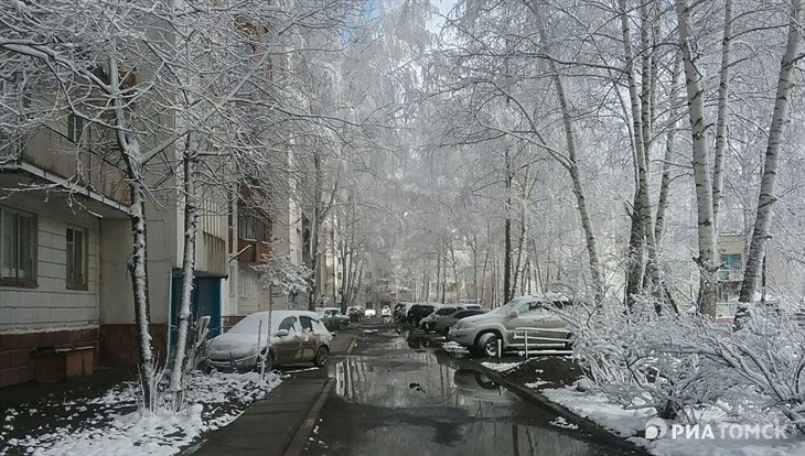 Синоптик: в выходные в Томске может снова лечь снег