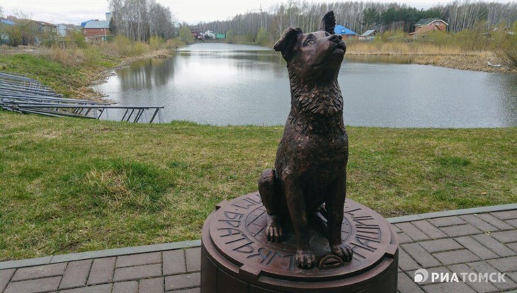 Памятник собаке появился у общежития ТГУ Парус
