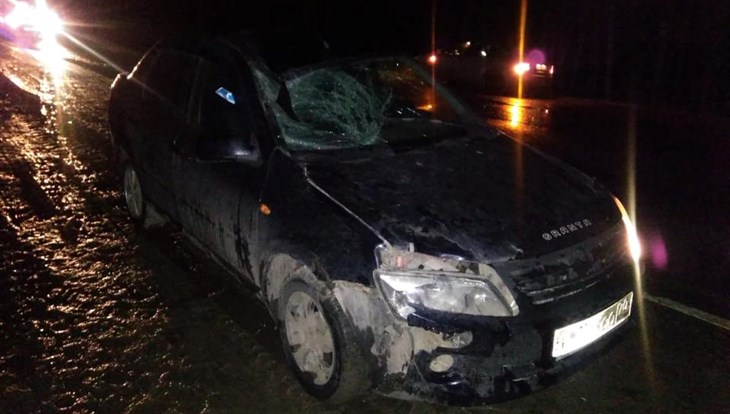 Мужчина-пешеход погиб после наезда Lada Granta на трассе под Томском