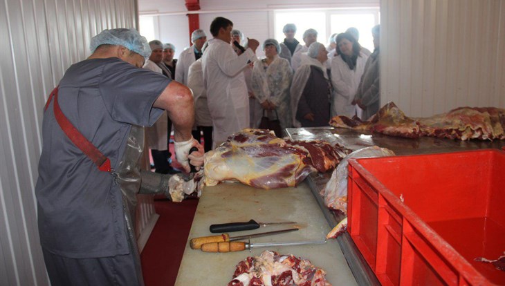 Крупнейший в Томской области цех переработки мяса открылся в пятницу