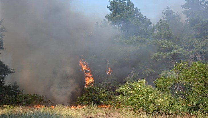 Семь природных пожаров действуют на территории Томской области