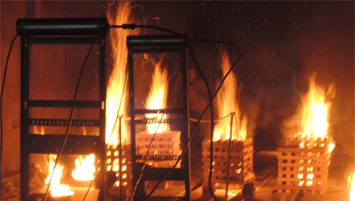 Формула огня: томские ученые придумали утюжок для лесного пожара