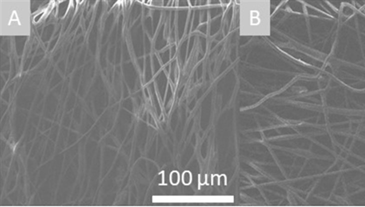 TPU scientists created material for implants capable to charge cages