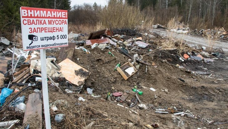 Специалисты ликвидировали почти 100 незаконных свалок в Томске в 2018г