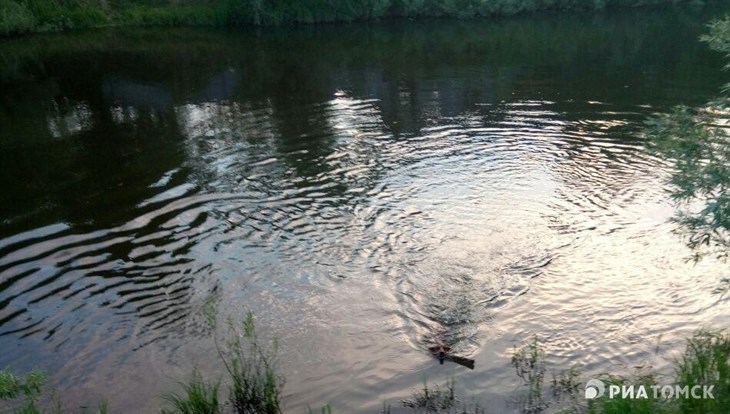 Санврачи не рекомендуют купаться в Ушайке у томского поселка Восточный