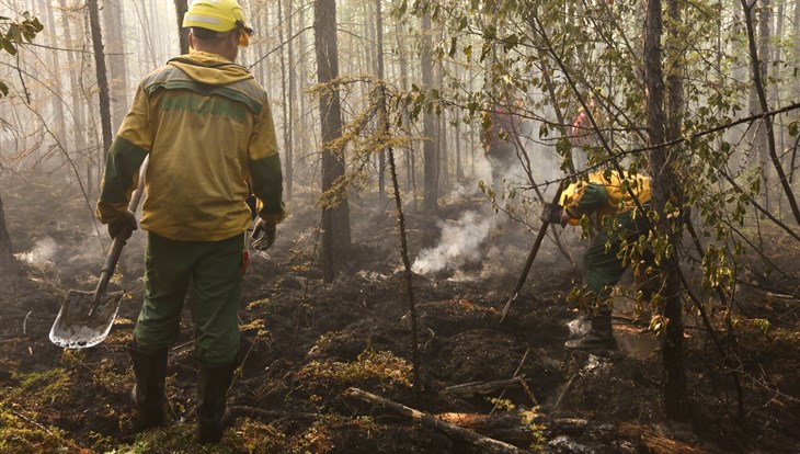 Огонь за выходные потушен на 150га томского леса, горит еще 1,2 тыс га