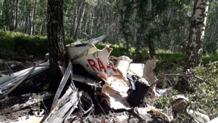 Томское МЧС: пропавший самолет найден под Новосибирском, пилот погиб
