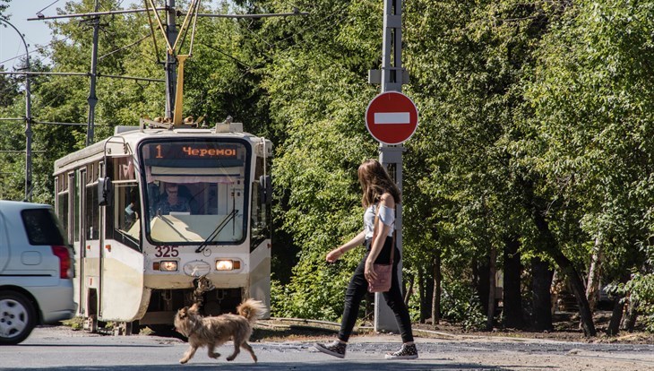 Среда в Томске ожидается жаркой, но ветреной