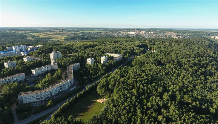 Власти Томска обсудят вопрос об ООПТ в лесопарке у Академгородка
