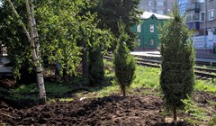Мэр: мнение общественности учитывается при озеленении Томска