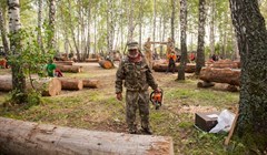 Старт дан: топоры застучали в 1-й день фестиваля в томской Околице