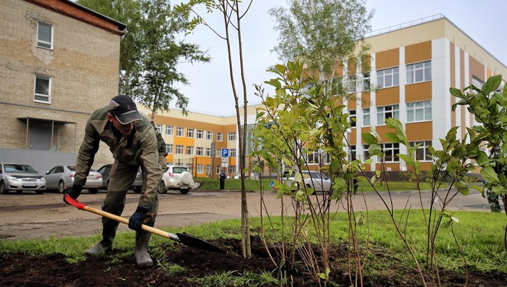 Мэрия потратит на озеленение Томска в 2020г на 42 млн рублей больше
