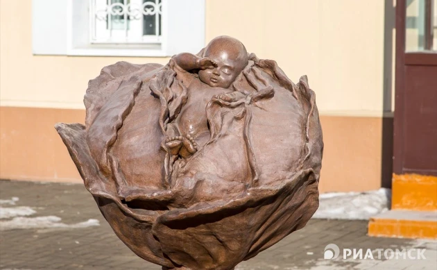 Шестнадцать малышей родились в Томской области 1 января 2026 года