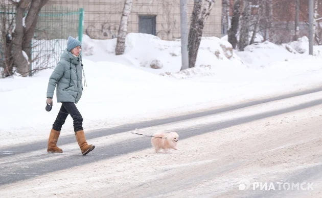 Морозная погода без осадков сохранится в Томске в субботу