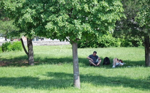 Пятница в Томске ожидается жаркой и без осадков